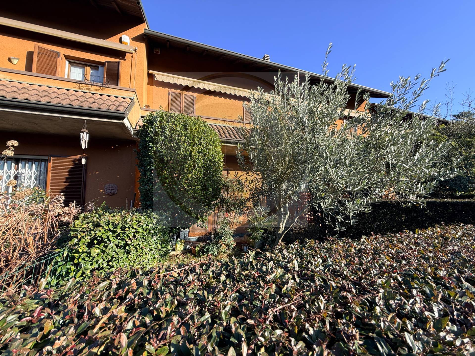 Villette a schiera in vendita a Cavaria con Premezzo