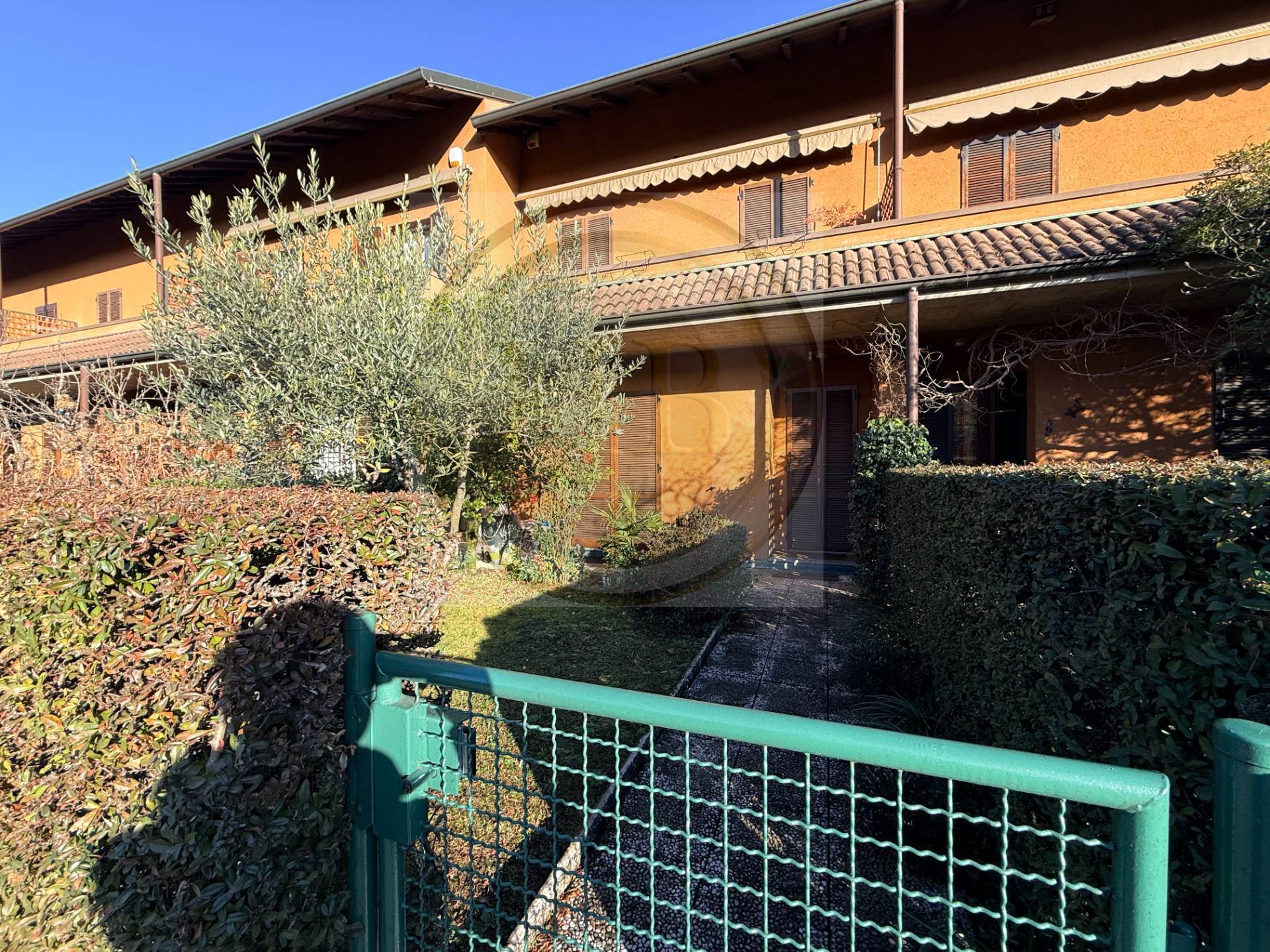 Villette a schiera in vendita a Cavaria con Premezzo