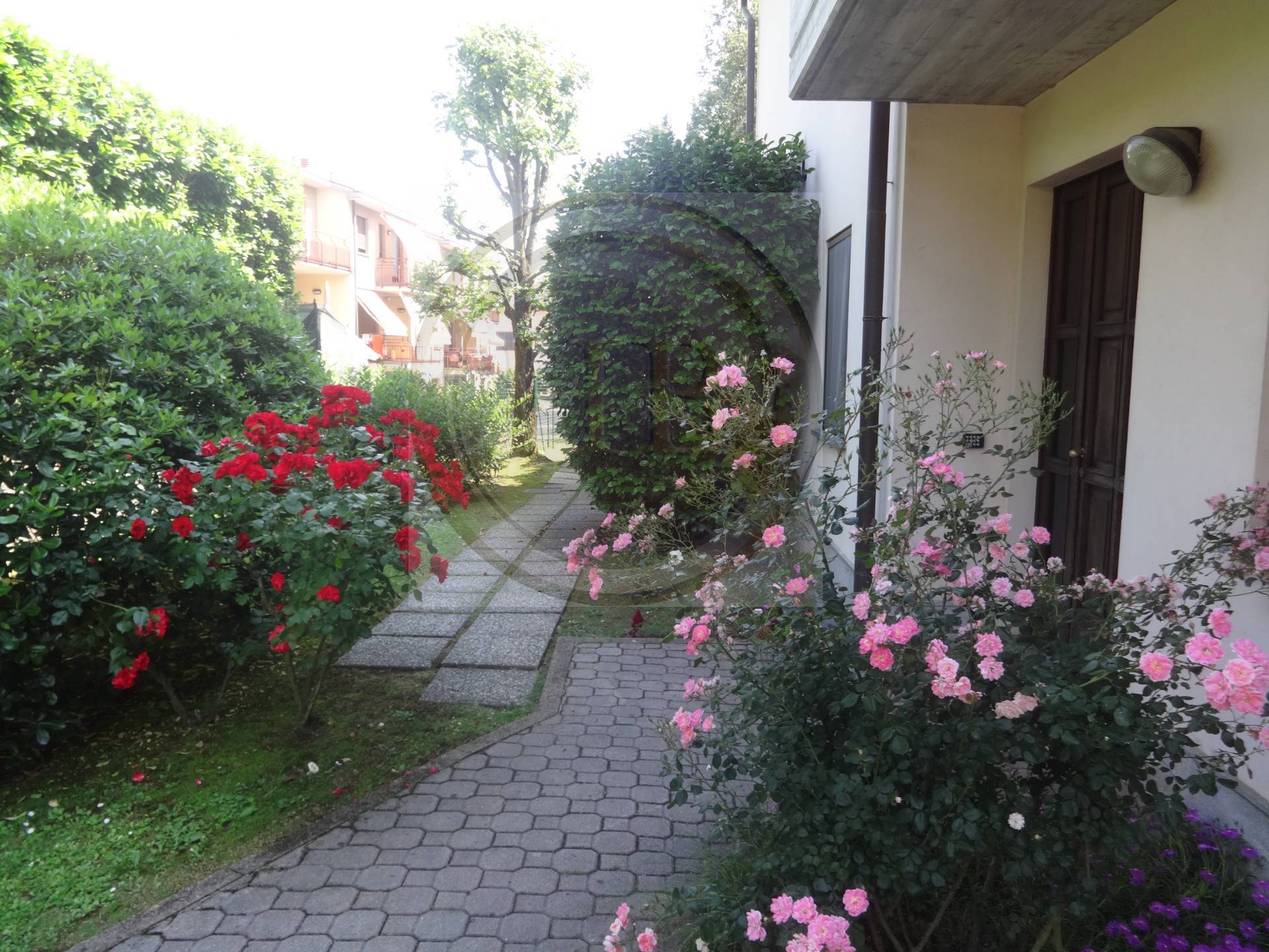 Appartamento in affitto a Albizzate