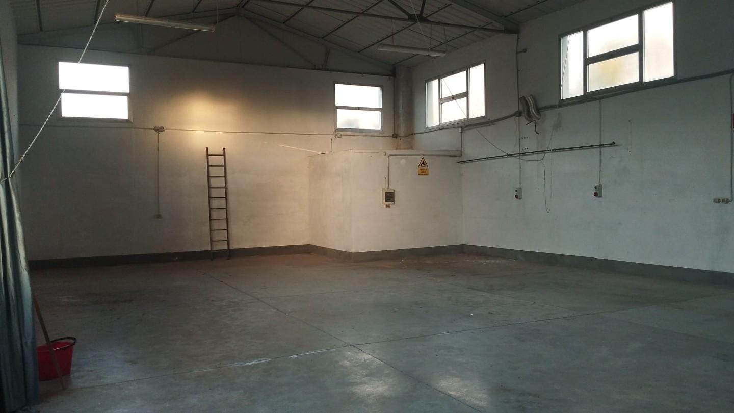 Capannone in affitto a Vicopisano