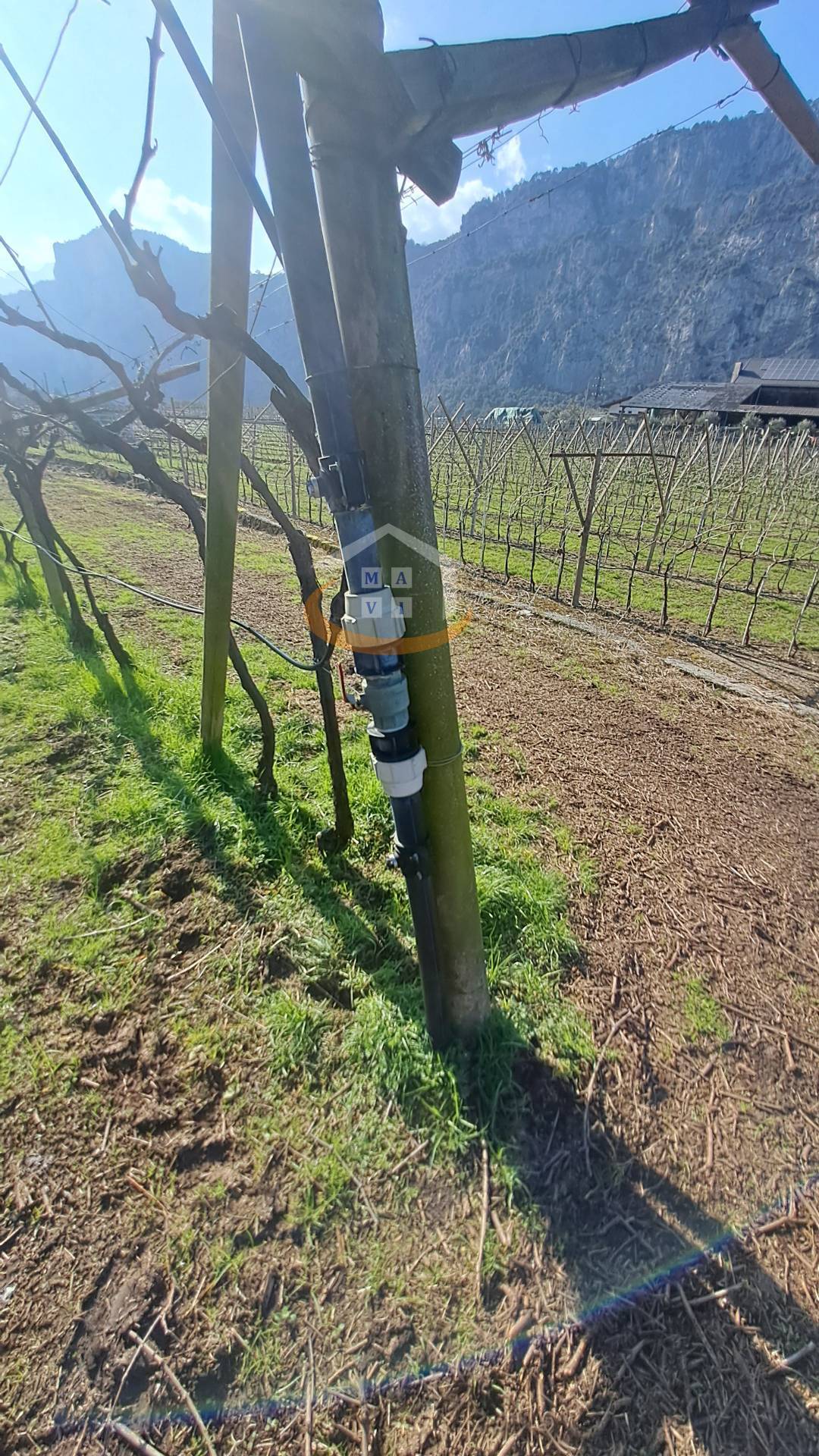 Terreno Agricolo in vendita a Arco