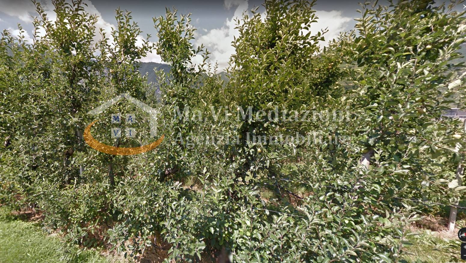 Terreno Agricolo in vendita a Riva del Garda