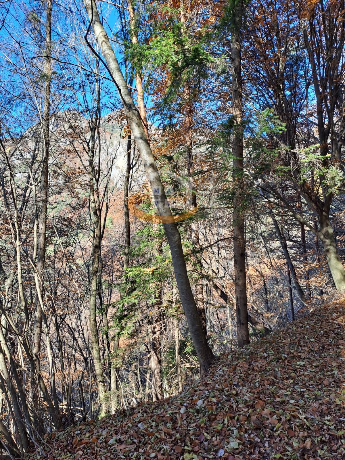 Rustico in vendita a Storo