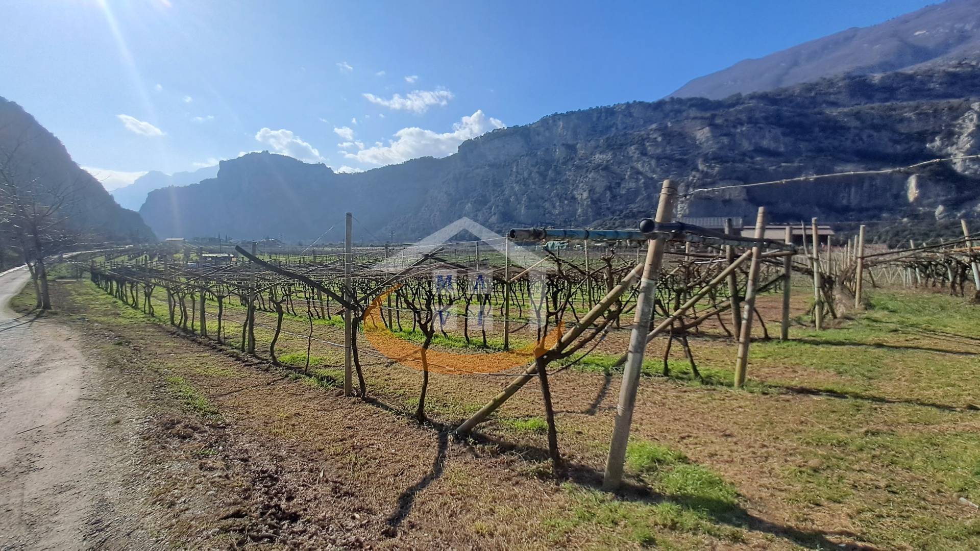 Terreno Agricolo in vendita a Arco