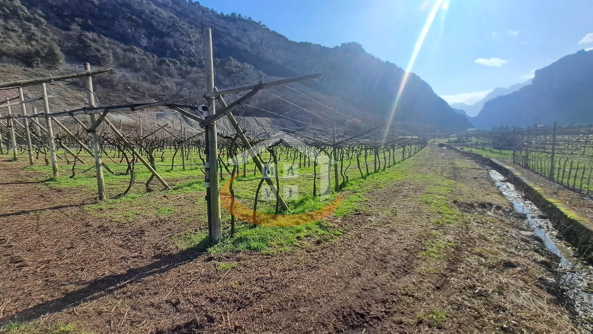 Terreno Agricolo in vendita a Arco