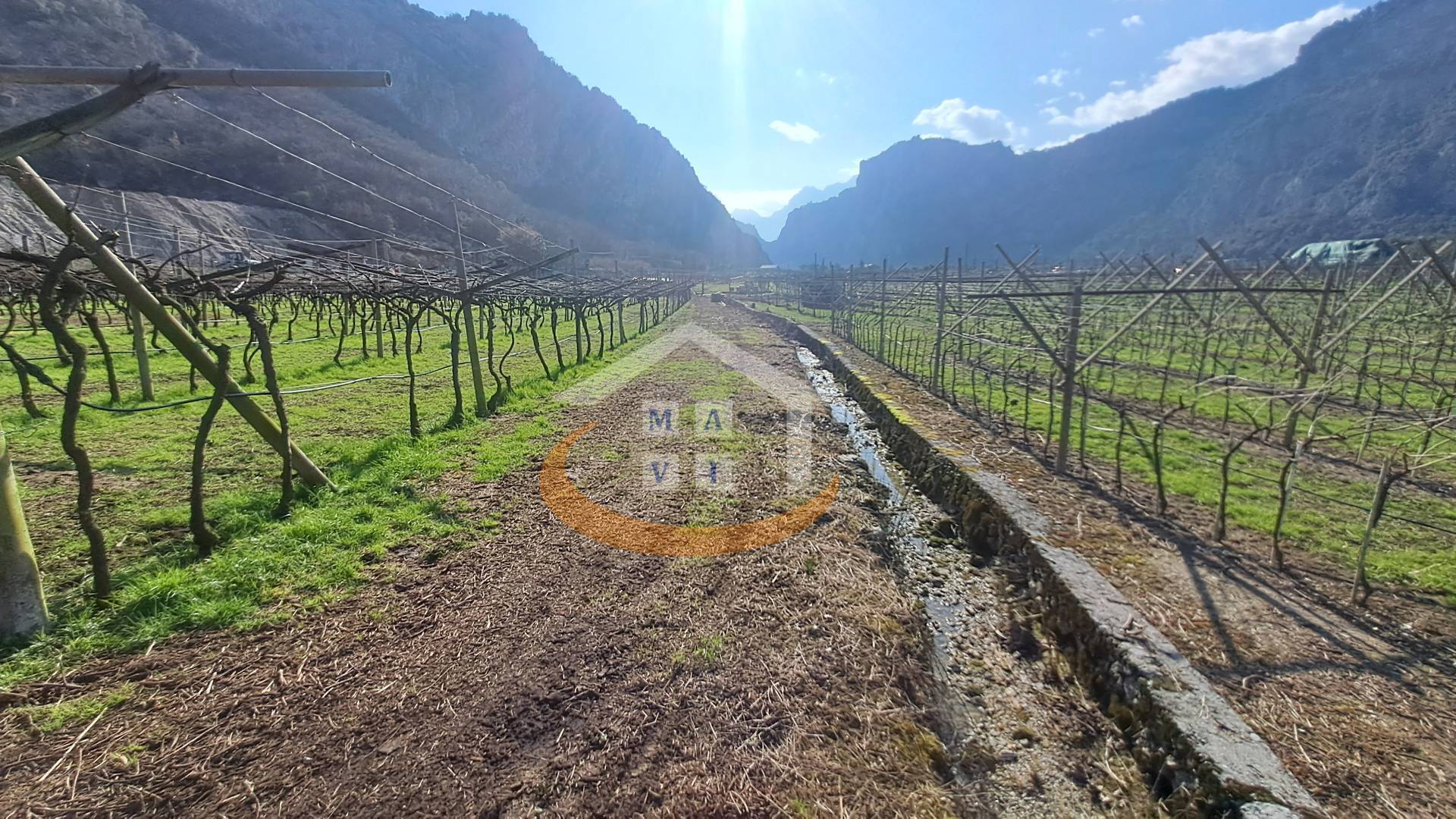 Terreno Agricolo in vendita a Arco