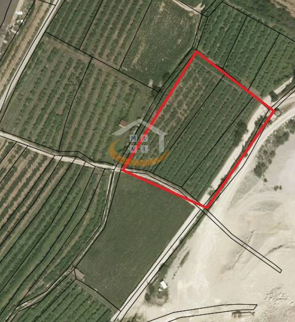 Terreno Agricolo in vendita a Arco