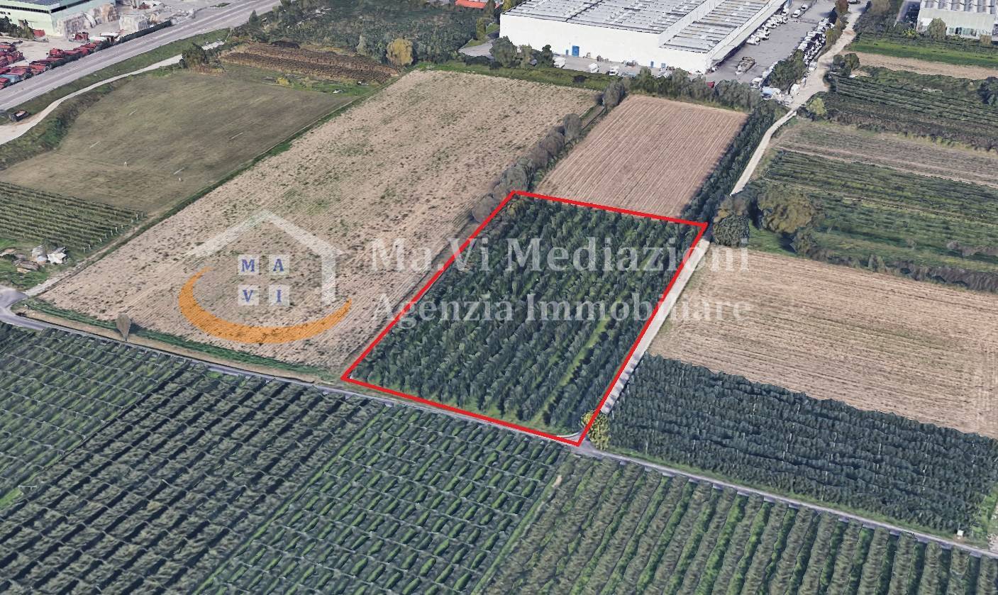 Terreno Agricolo in vendita a Riva del Garda