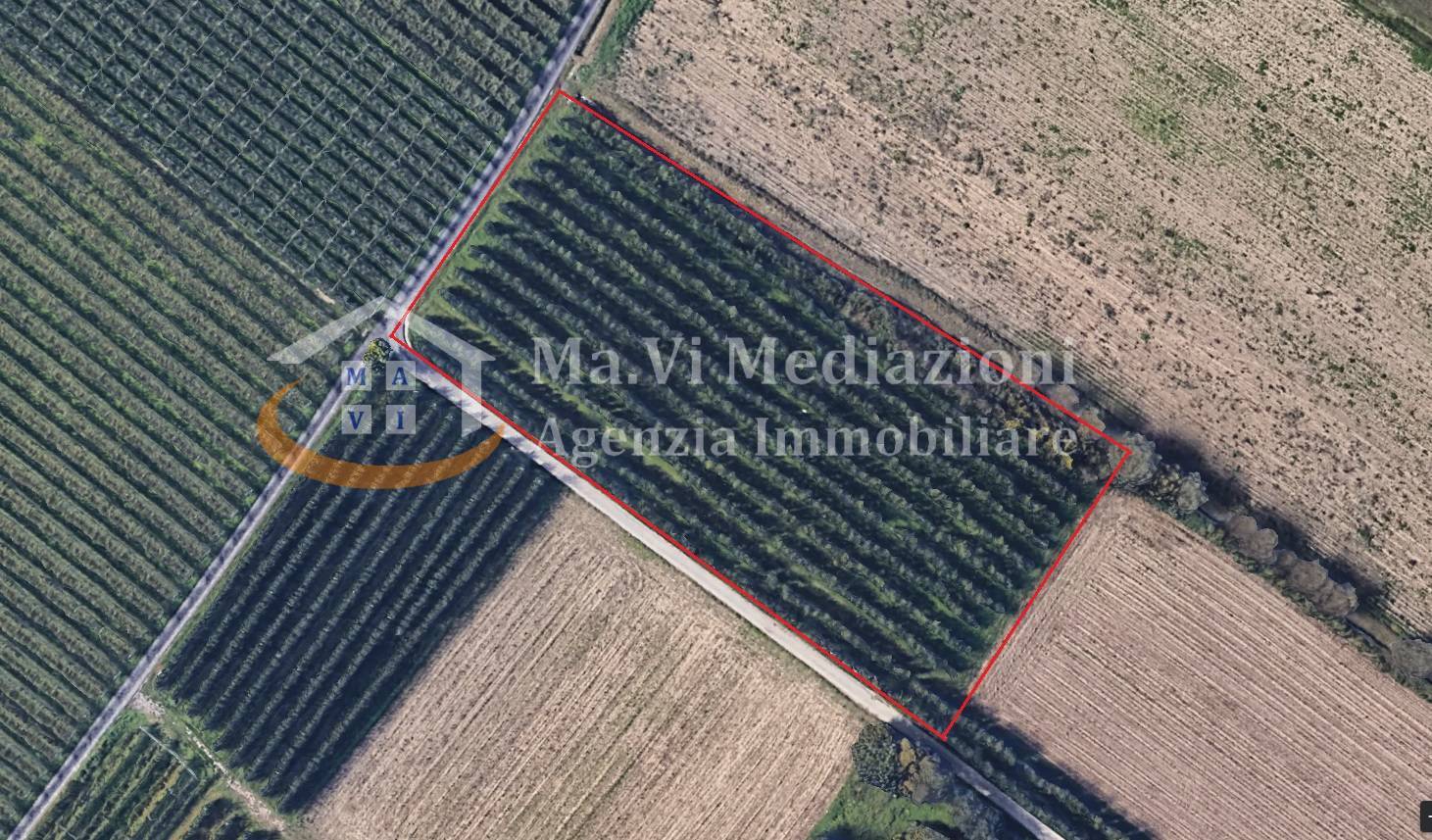 Terreno Agricolo in vendita a Riva del Garda