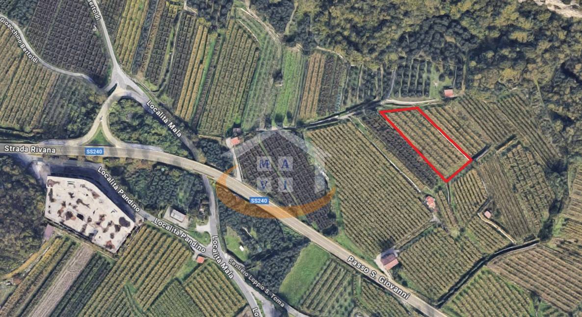 Terreno Agricolo in vendita a Nago-Torbole, Nago