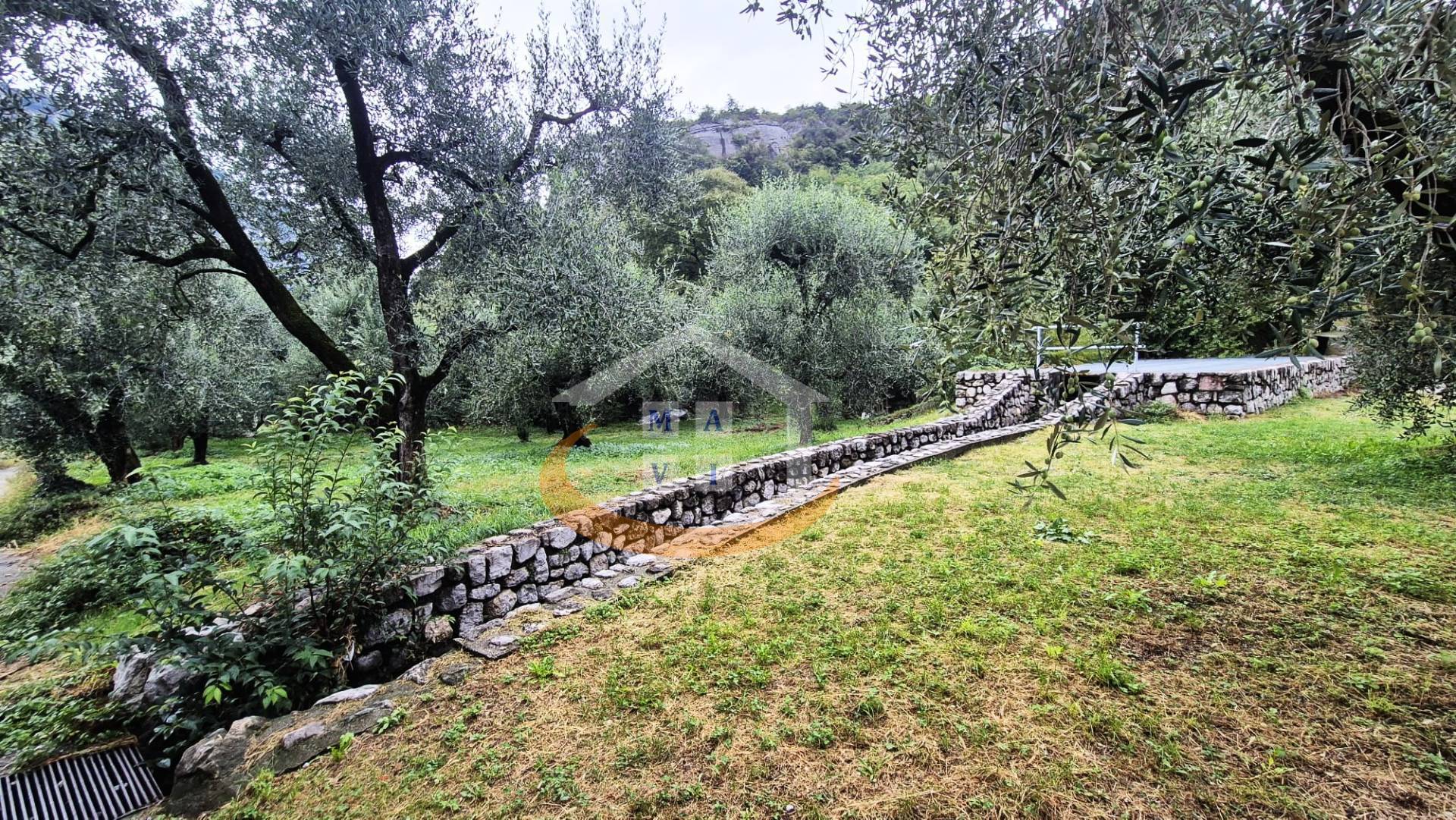 Terreno Agricolo in vendita a Nago-Torbole, Torbole