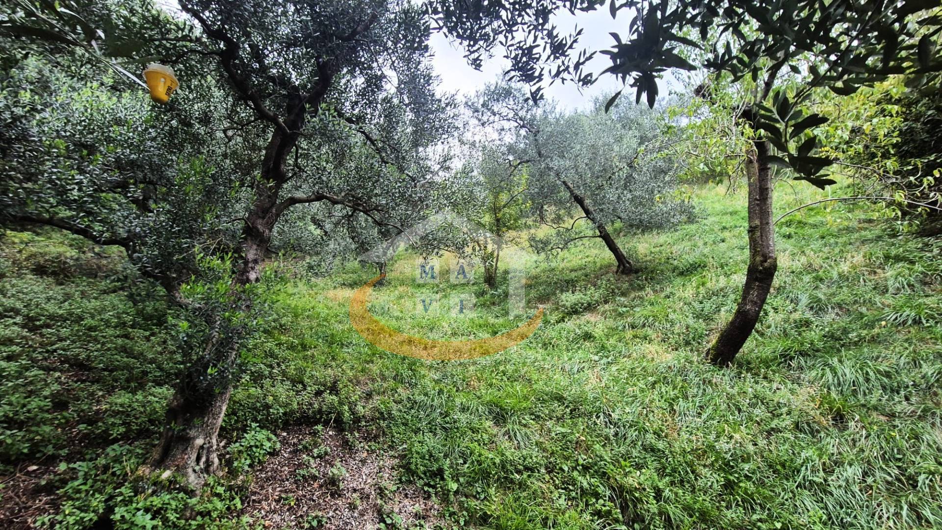 Terreno Agricolo in vendita a Nago-Torbole, Torbole