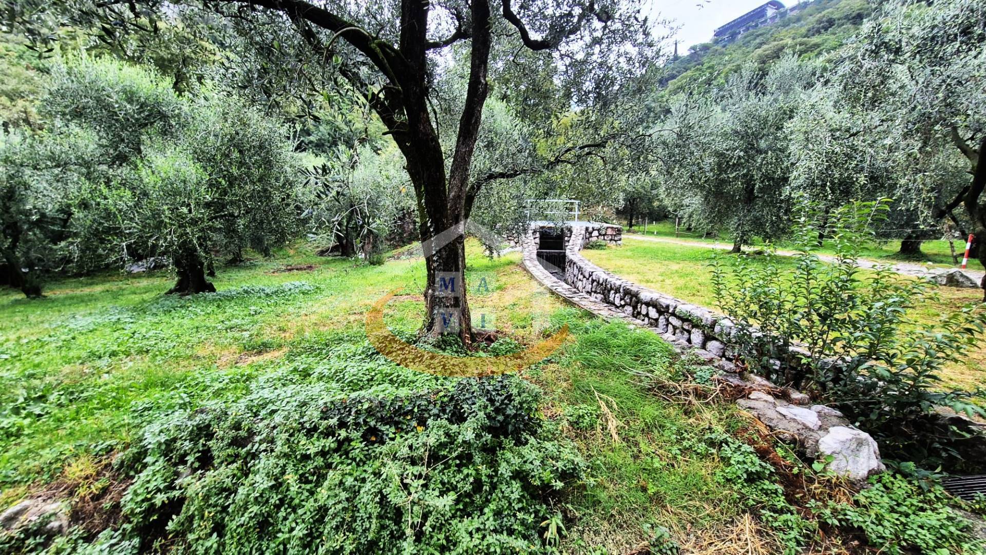 Terreno Agricolo in vendita a Nago-Torbole, Torbole