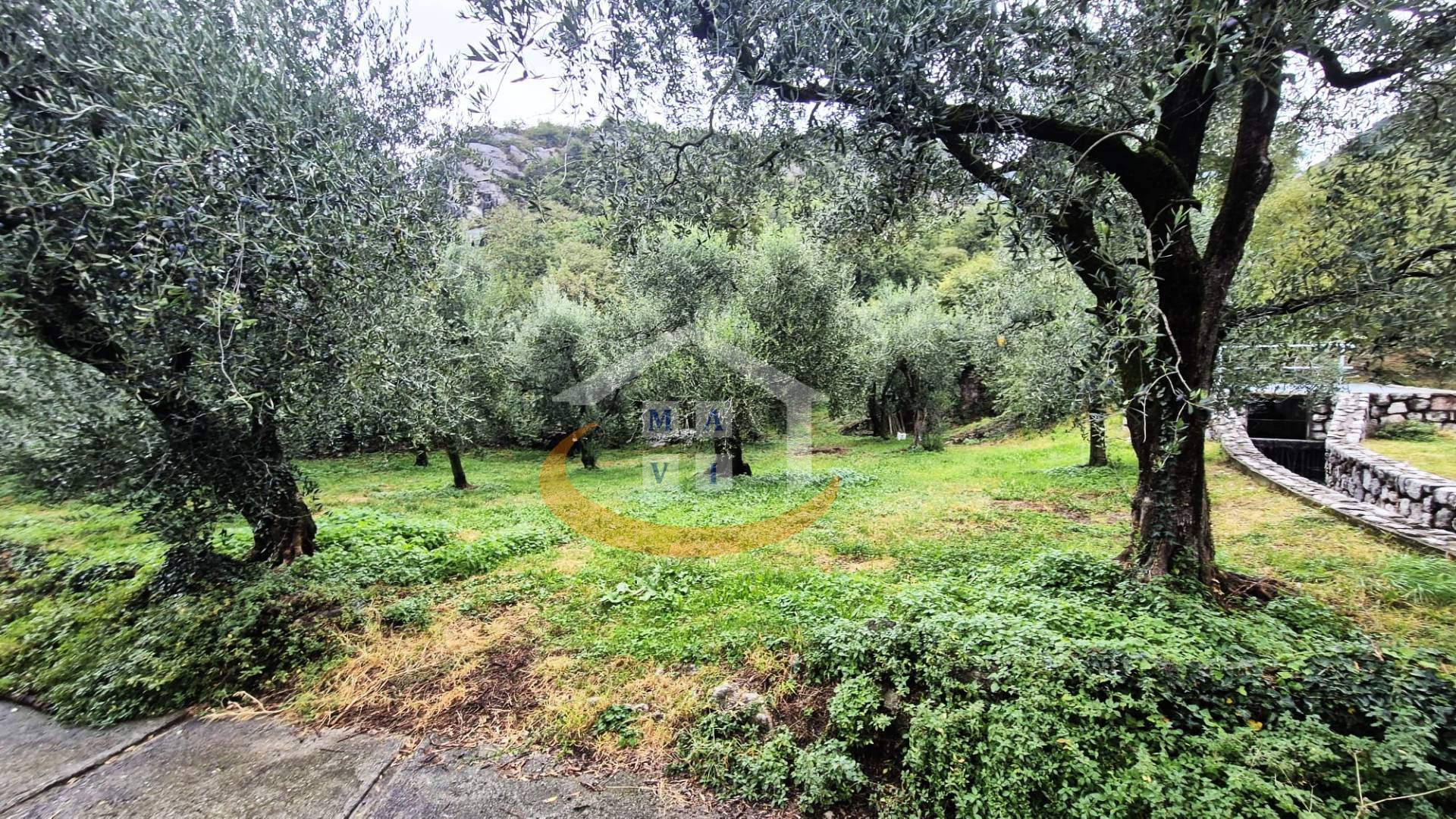 Terreno Agricolo in vendita a Nago-Torbole, Torbole