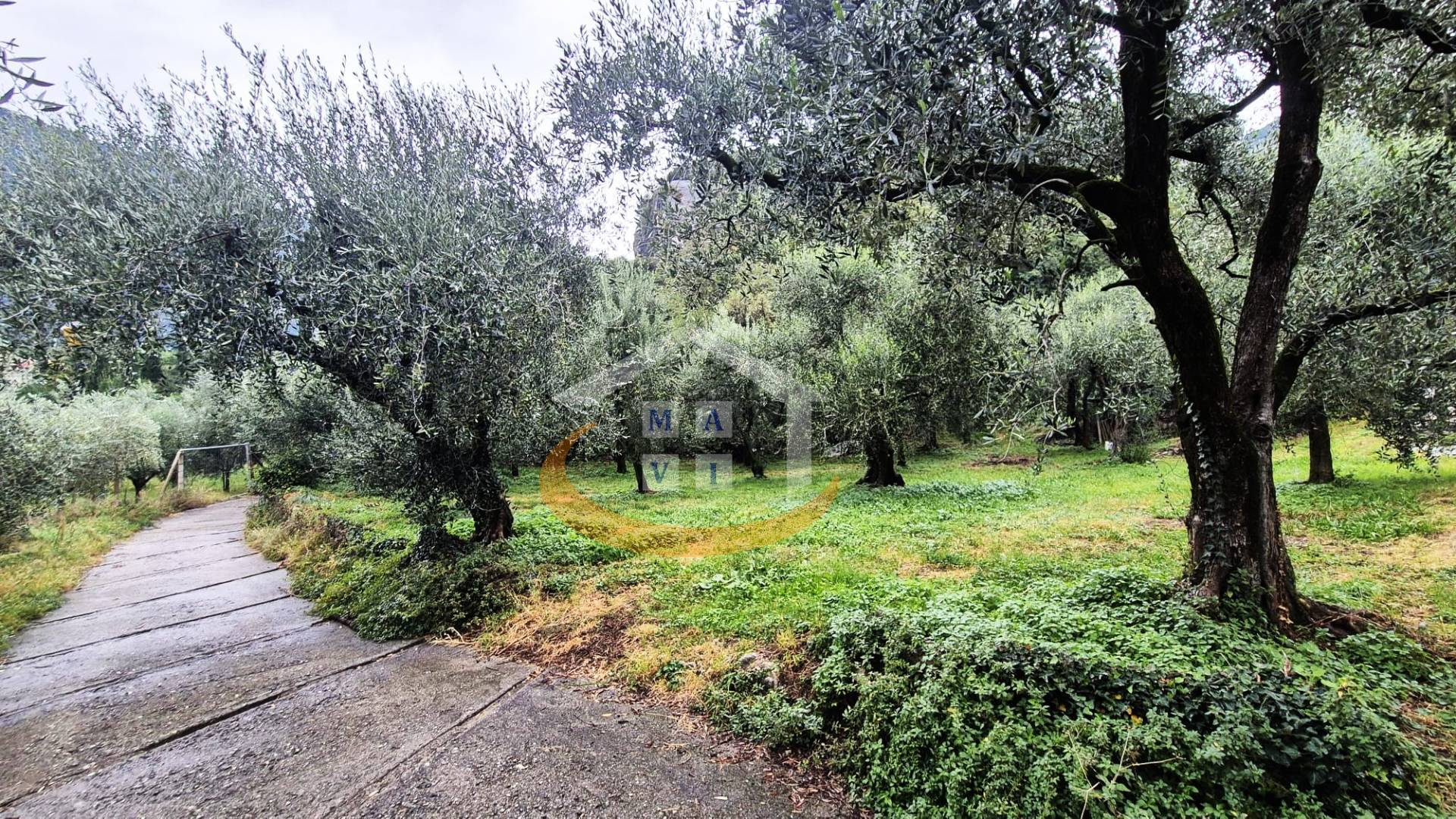 Terreno Agricolo in vendita a Nago-Torbole, Torbole