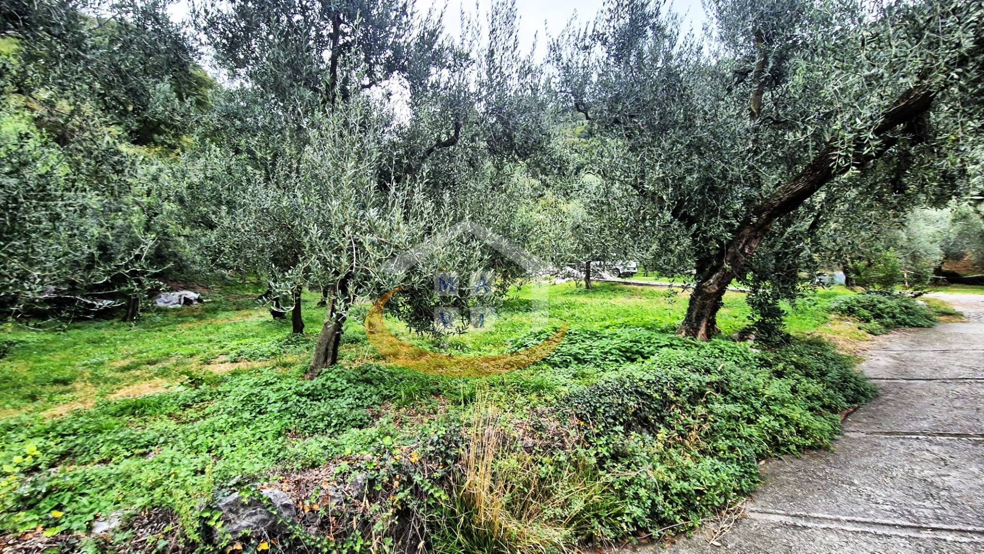Terreno Agricolo in vendita a Nago-Torbole, Torbole