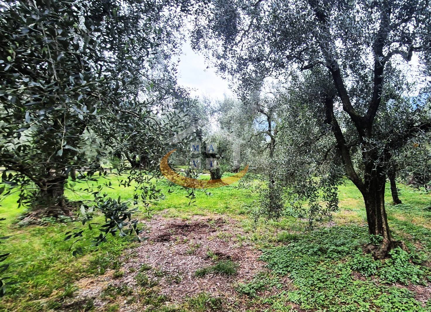 Terreno Agricolo in vendita a Nago-Torbole, Torbole