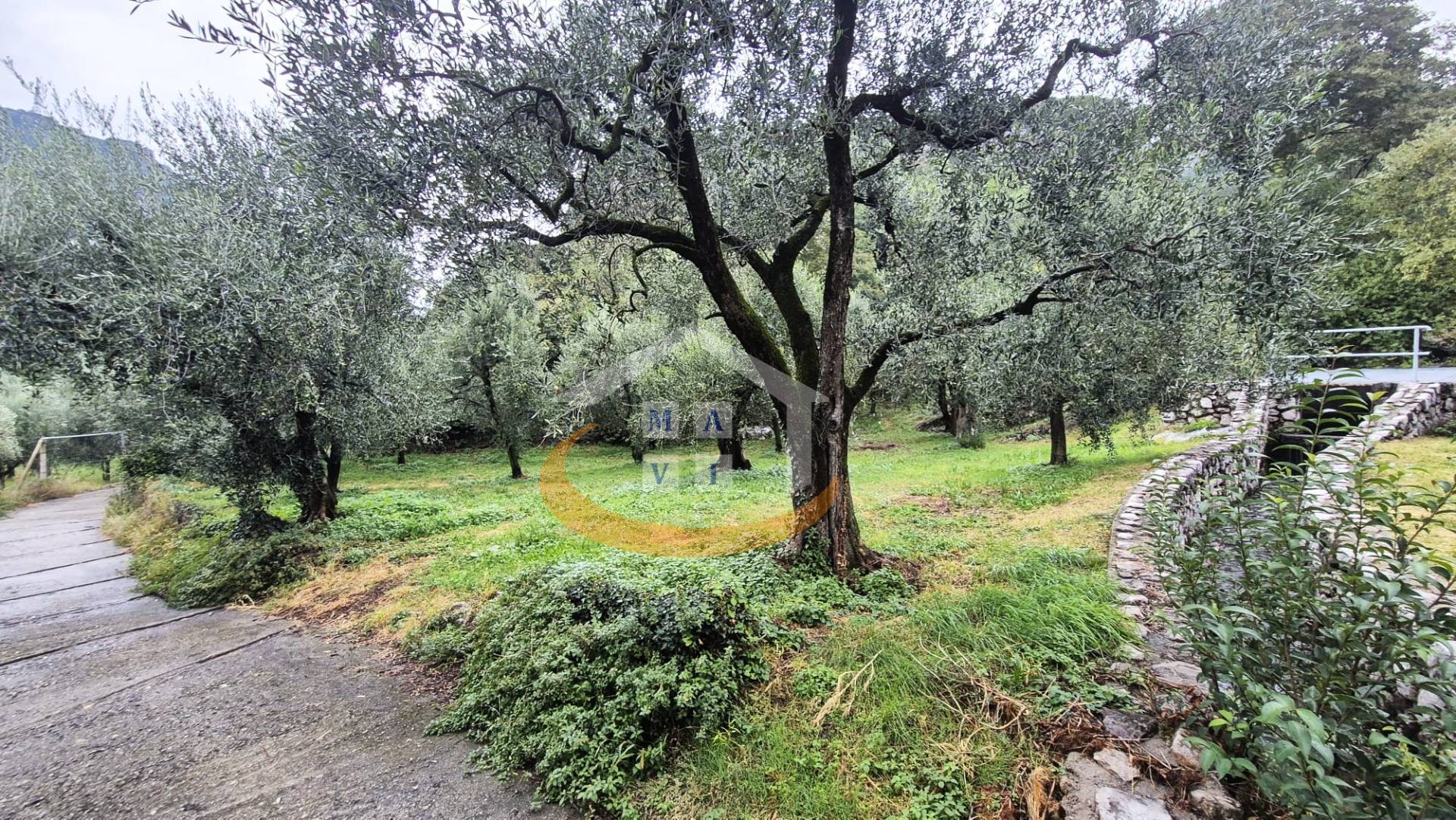 Terreno Agricolo in vendita a Nago-Torbole, Torbole