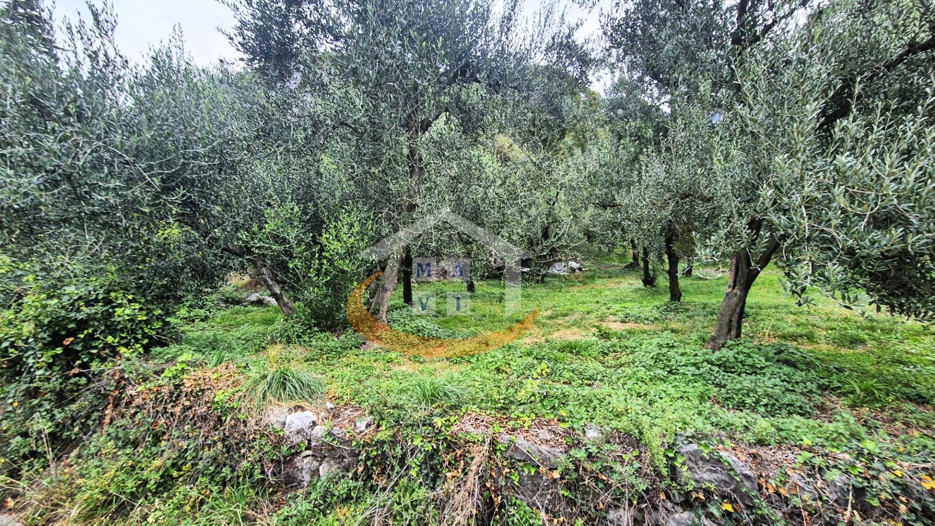 Terreno Agricolo in vendita a Nago-Torbole, Torbole