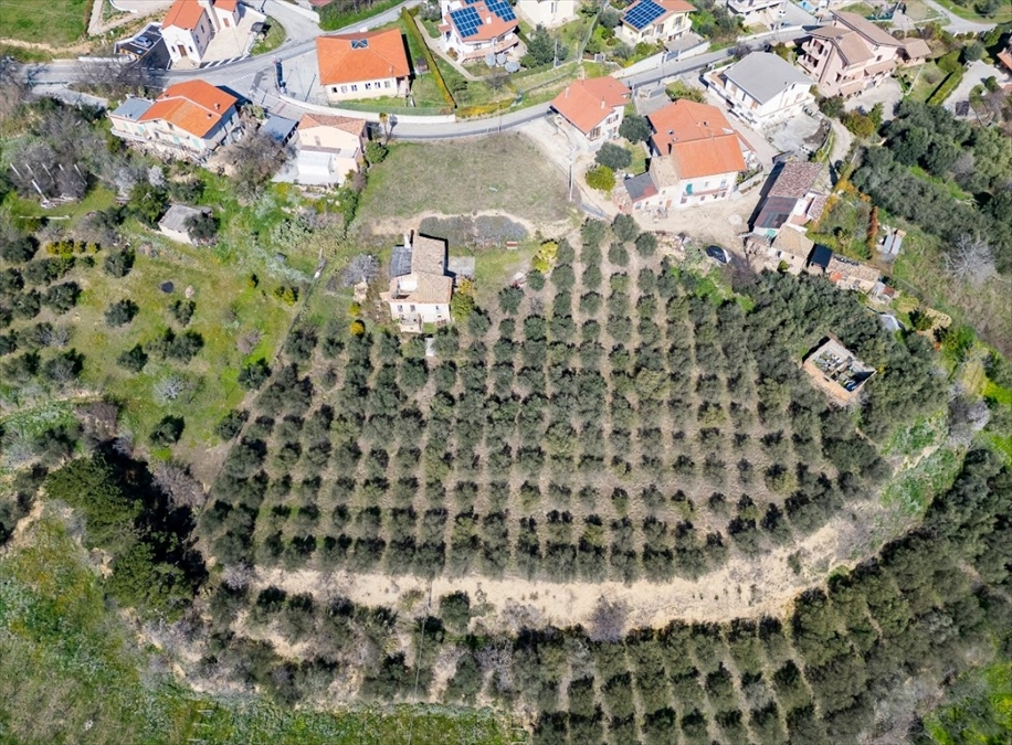 immagine annuncio 2 di 6