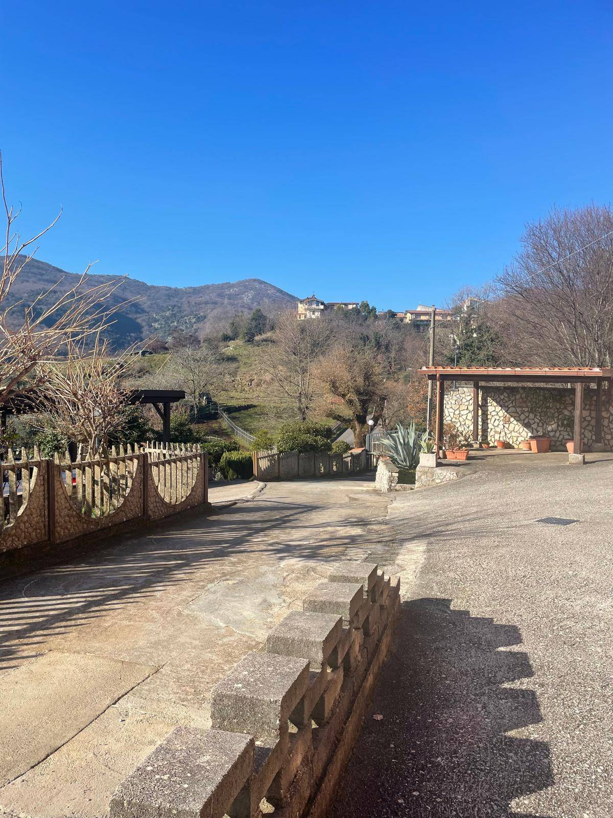 immagine annuncio 5 di 6