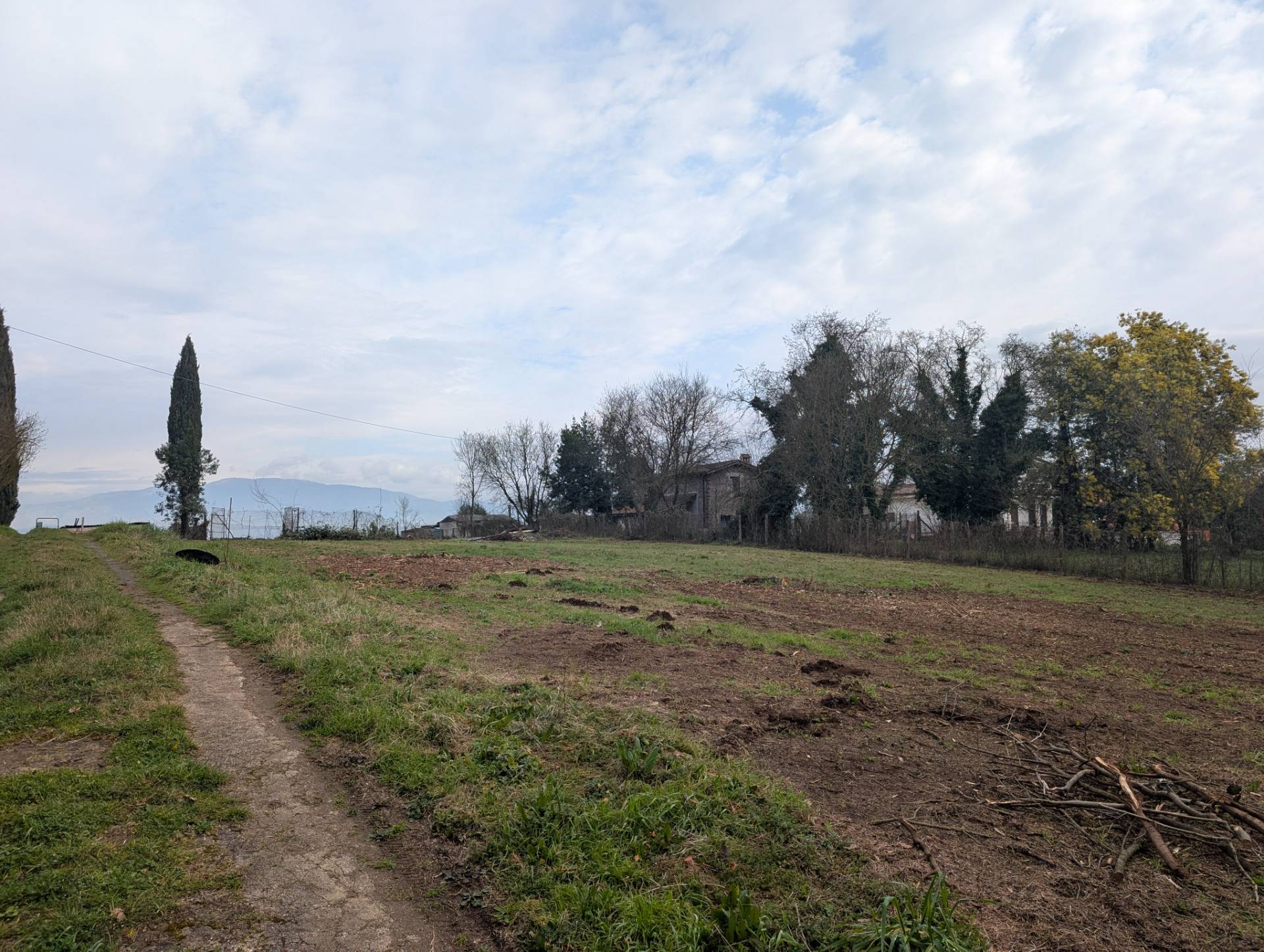 immagine annuncio 1 di 6