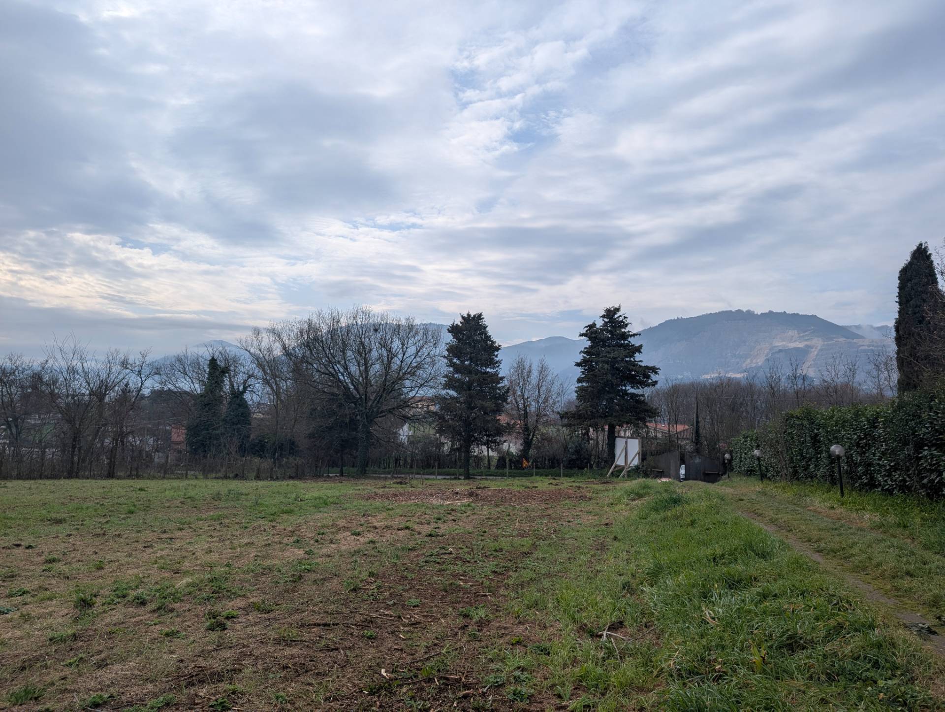 immagine annuncio 2 di 6