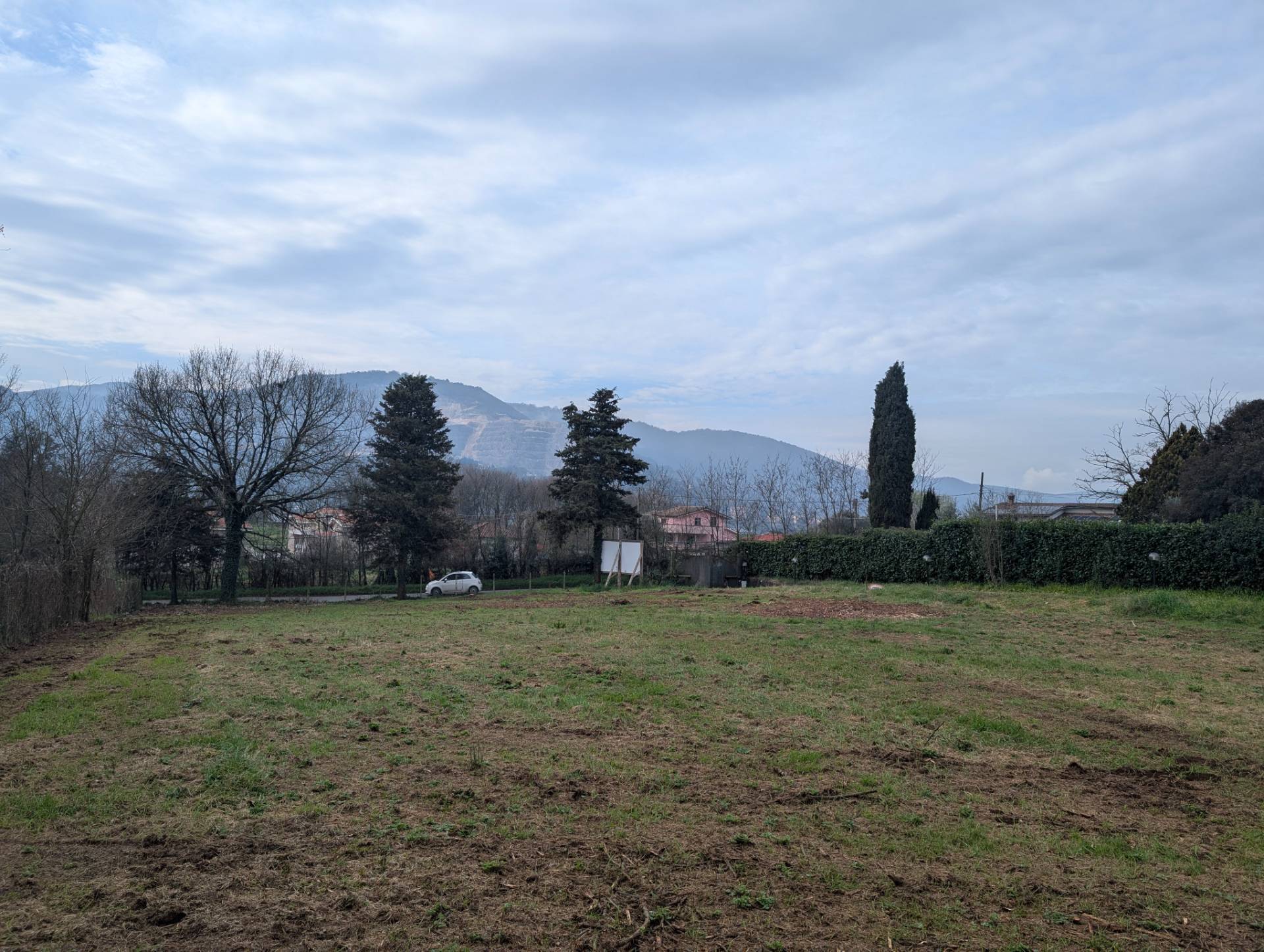 immagine annuncio 3 di 6