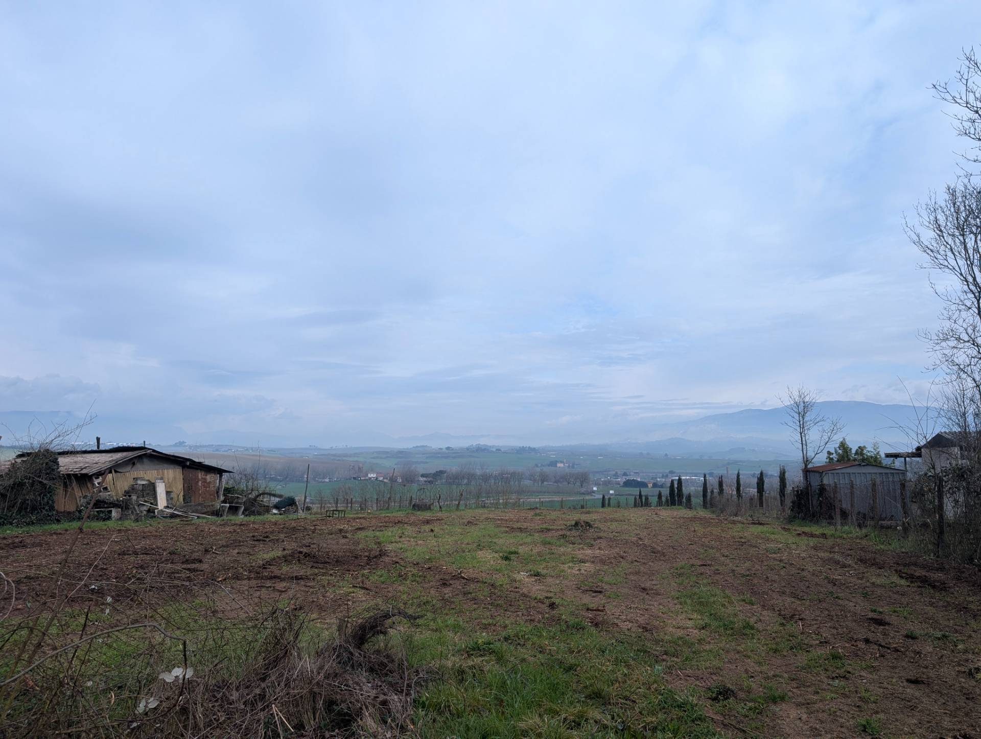 immagine annuncio 4 di 6
