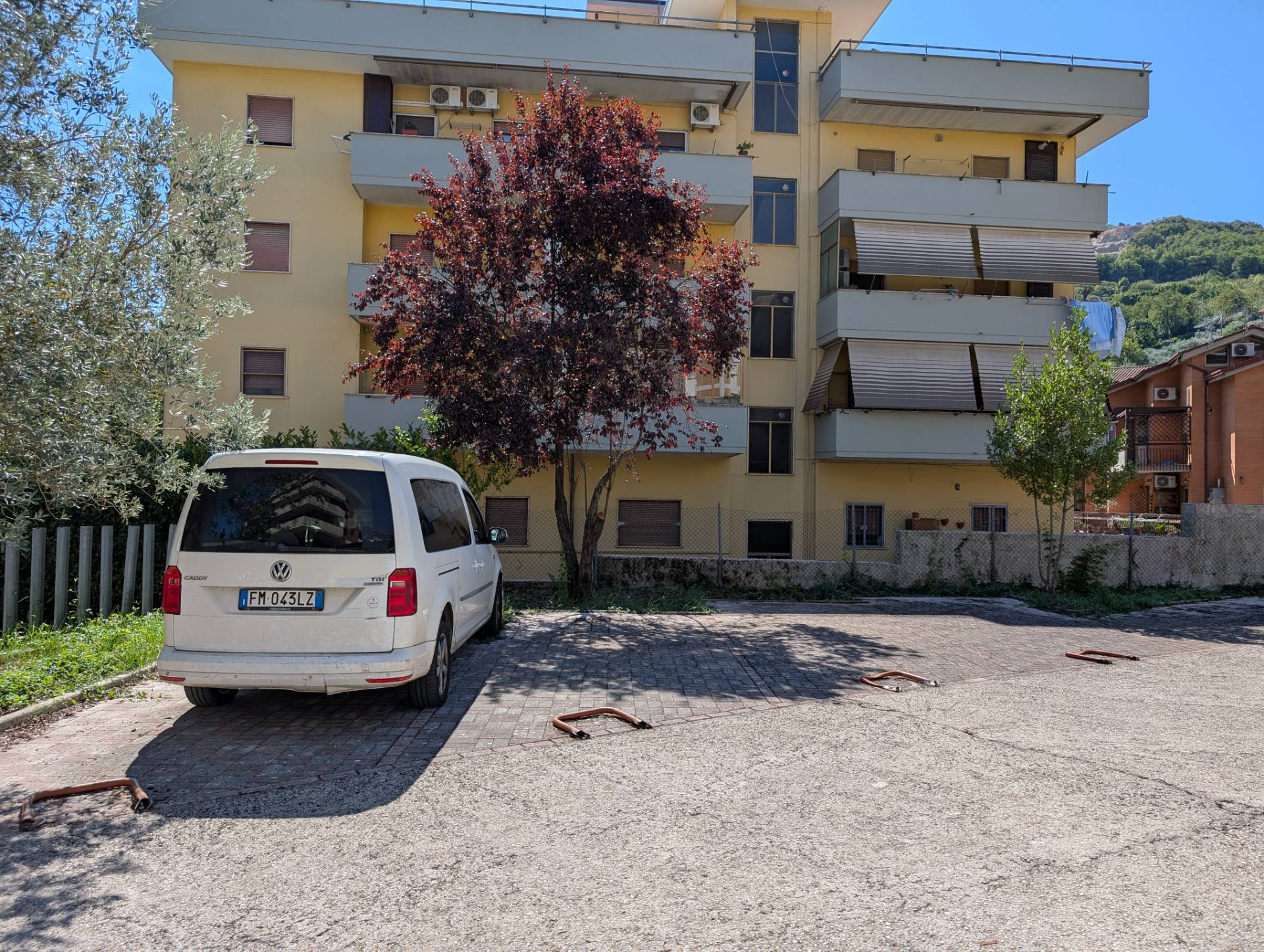 immagine annuncio 3 di 5