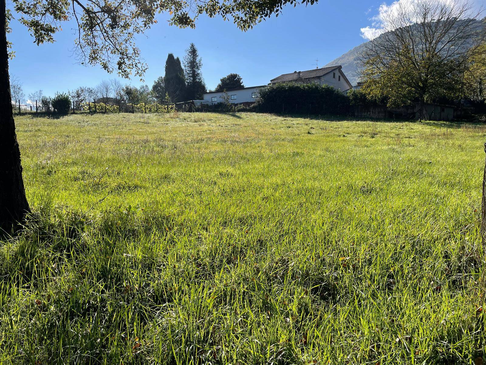 Terreno edificabile in vendita a Segni, VIA CARPINETANA OVEST