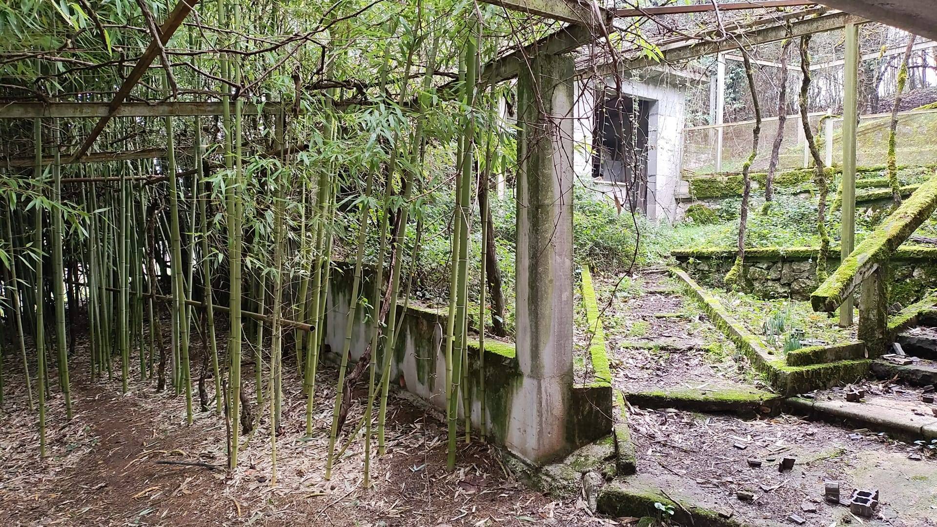 SOLUZIONE INDIPENDENTE in vendita a Segni, VIA CARPINETANA OVEST