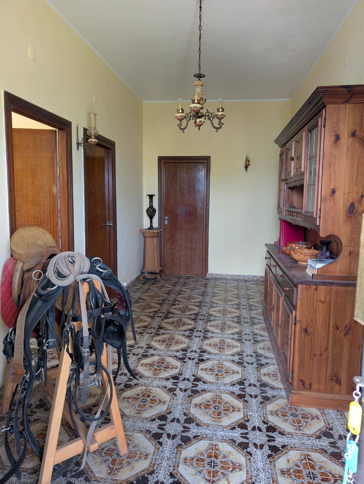casa indipendente in vendita a Segni, VIA CARPINETANA EST