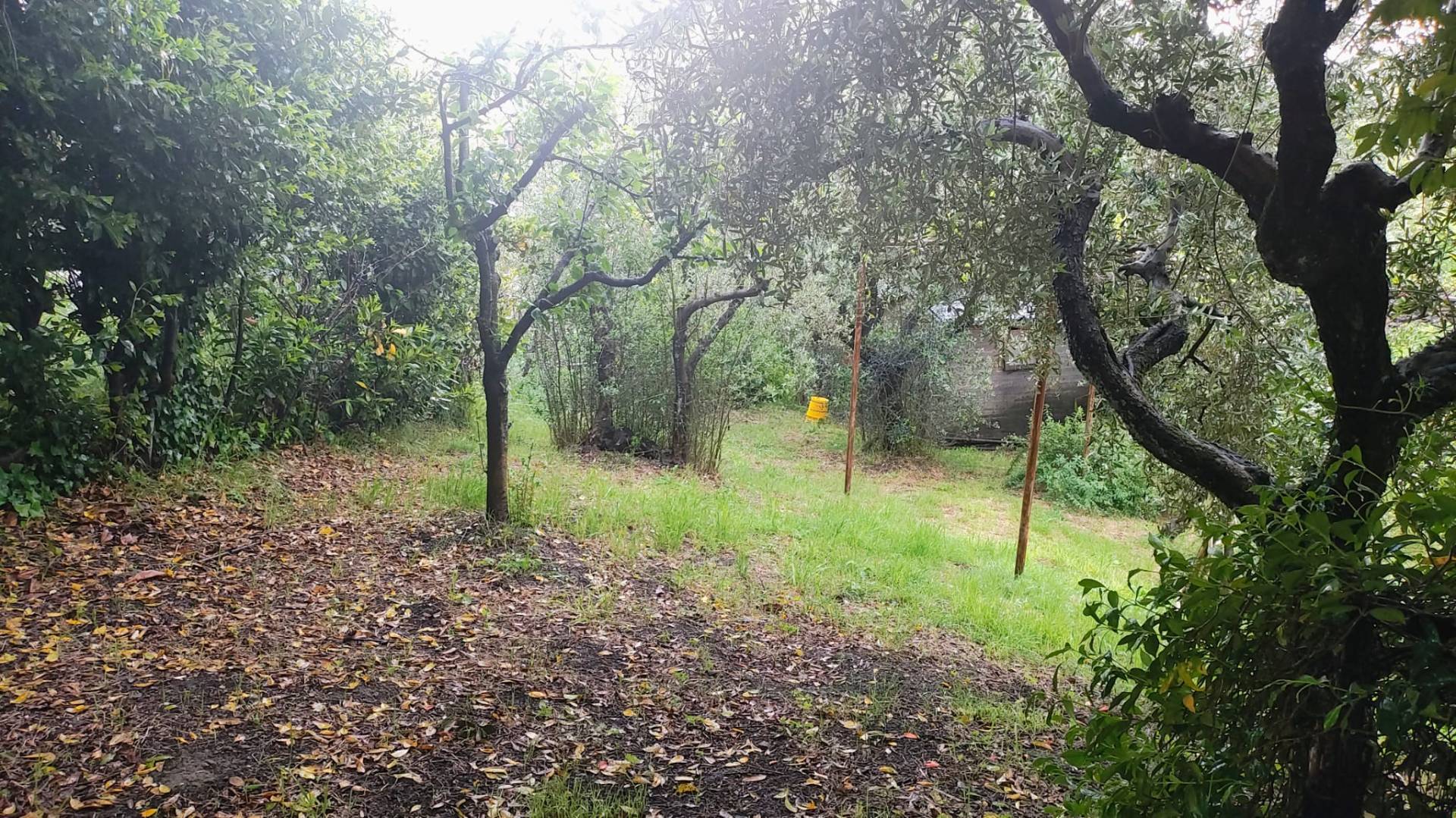 APPARTAMENTO CON ENTRATA INDIPENDENTE in vendita a Paliano, Santa Maria Pugliano