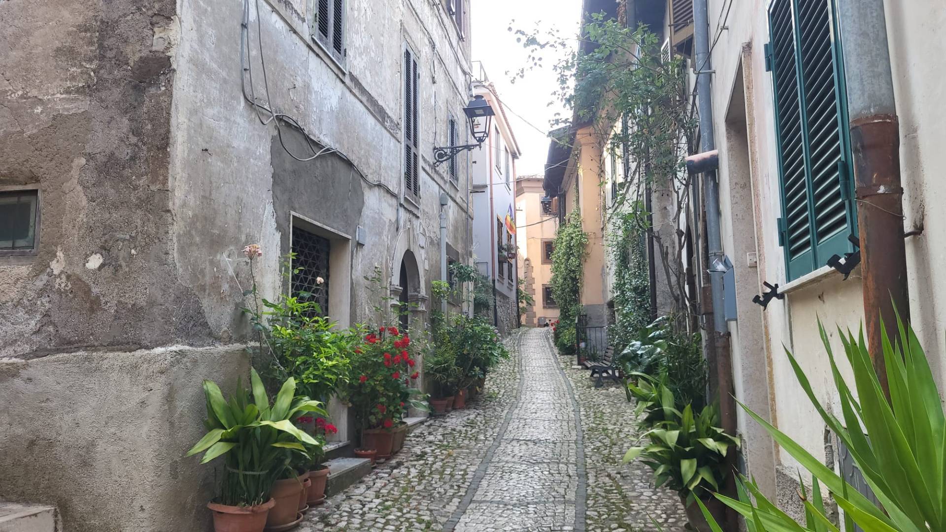 APPARTAMENTO 1 in vendita a Gavignano