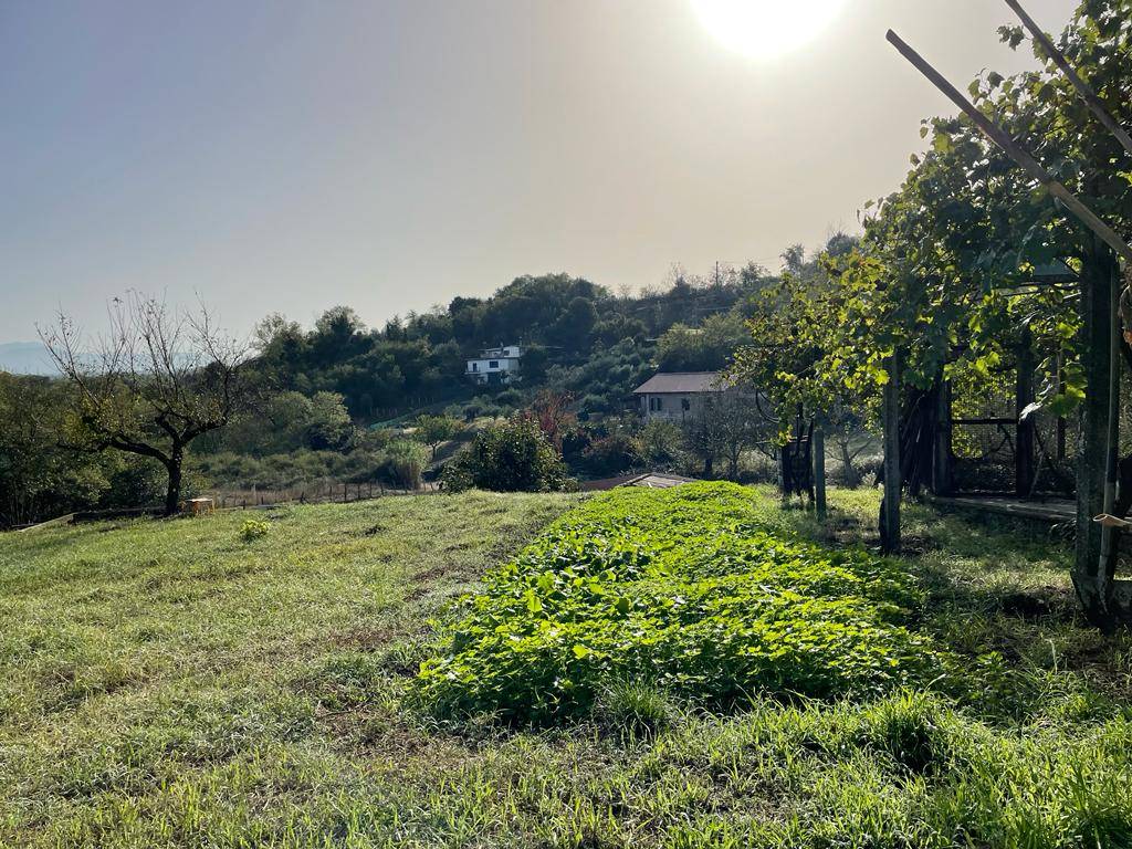 APPARTAMENTO CON ENTRATA INDIPENDENTE in vendita a Segni, VIA DELLA MOLA