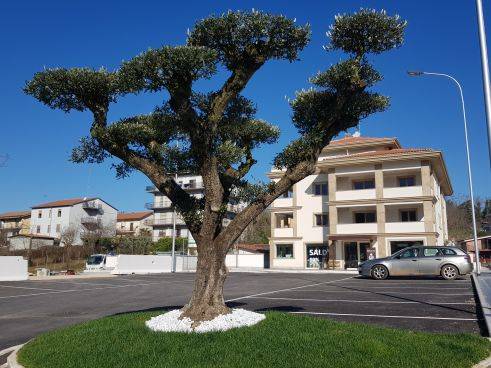 Locale commerciale in affitto a Colleferro, VIA DEI PIOPPI