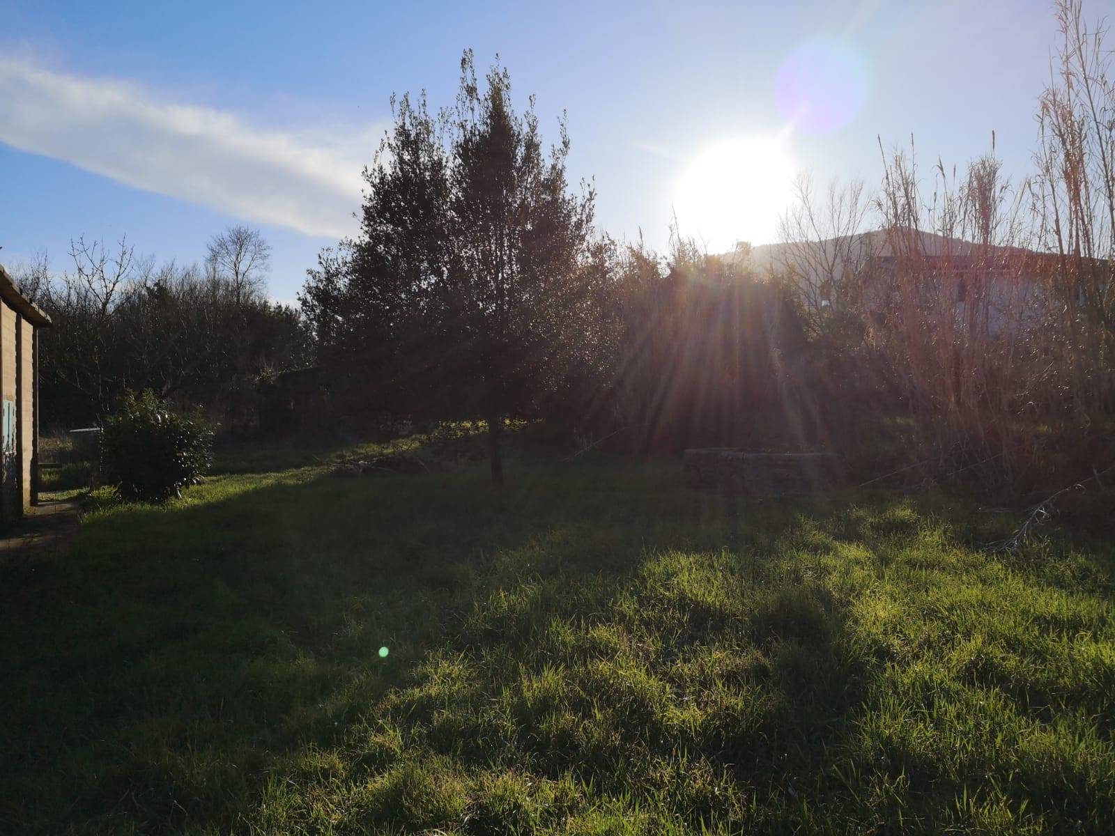 TERRENO CON FABBRICATI in vendita a Gavignano