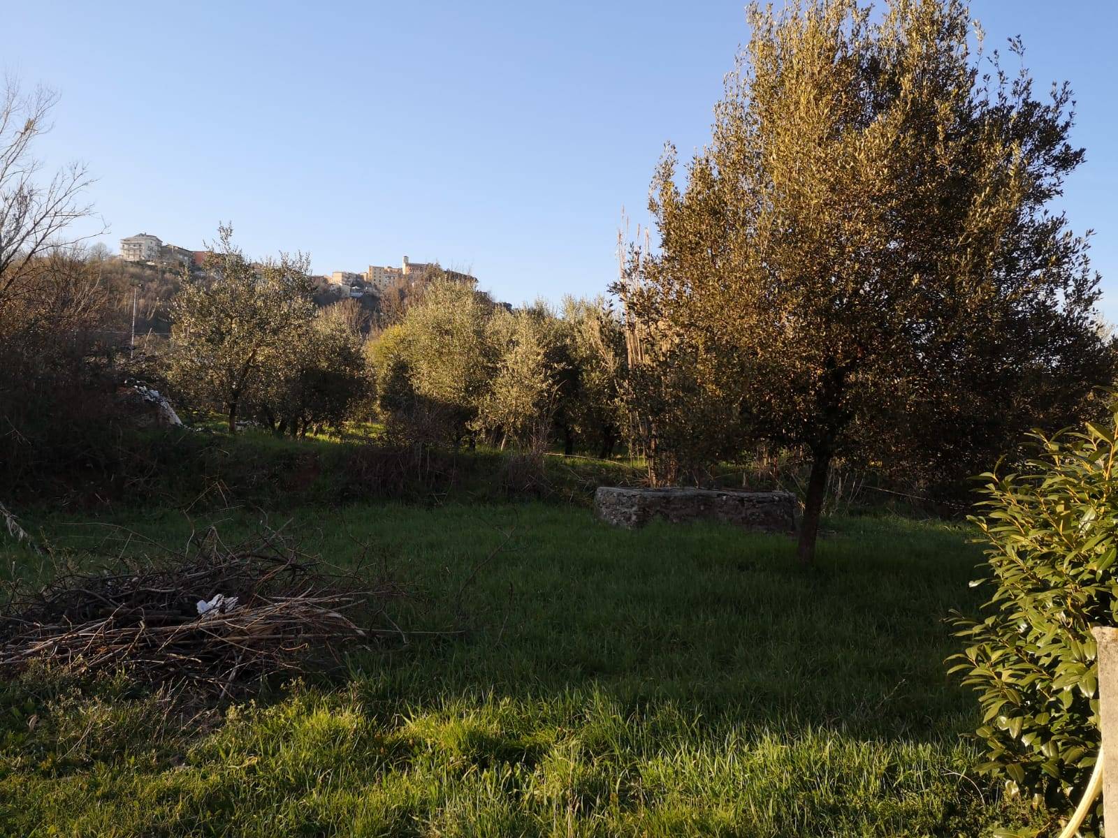 TERRENO CON FABBRICATI in vendita a Gavignano