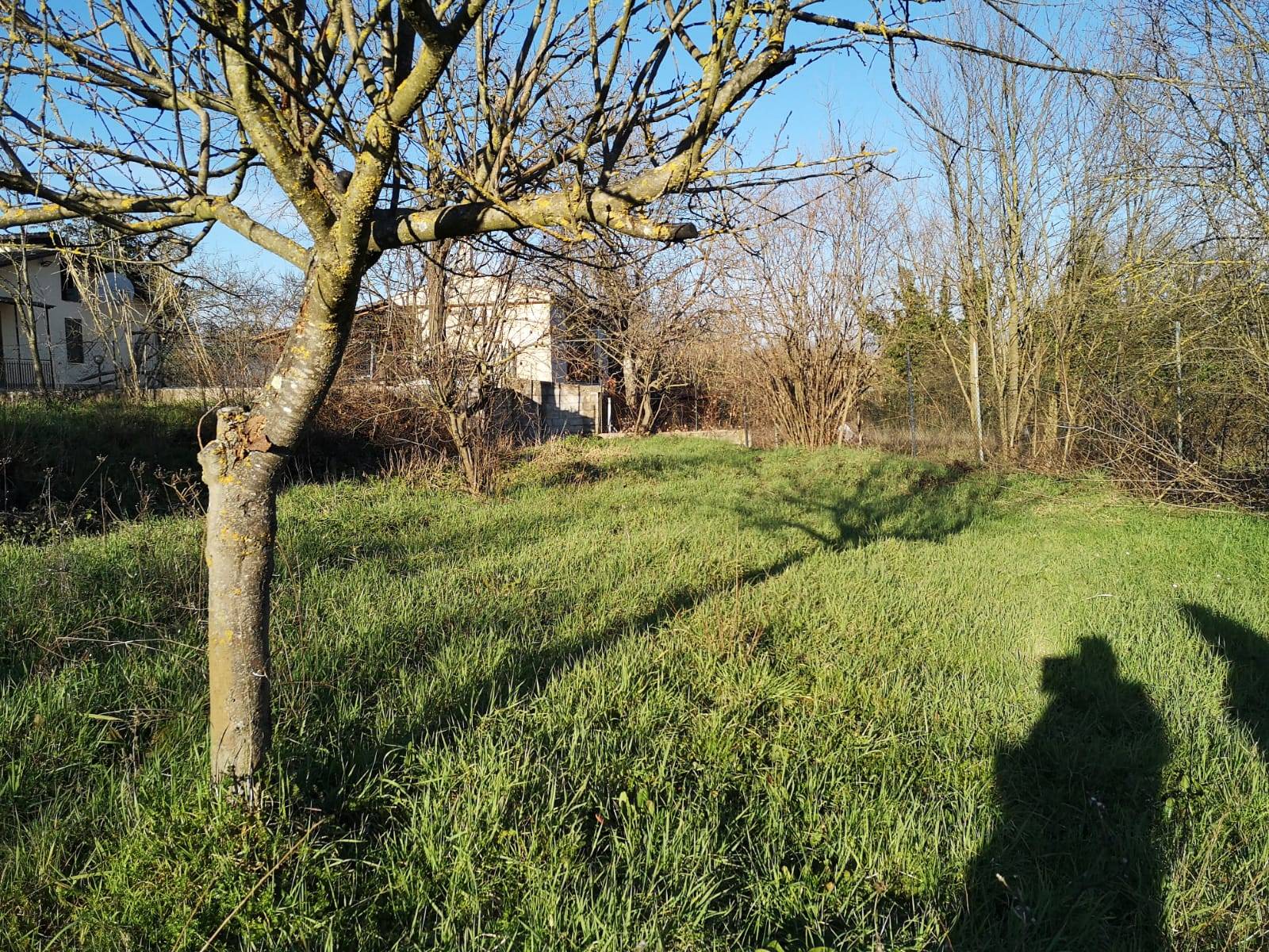 TERRENO CON FABBRICATI in vendita a Gavignano