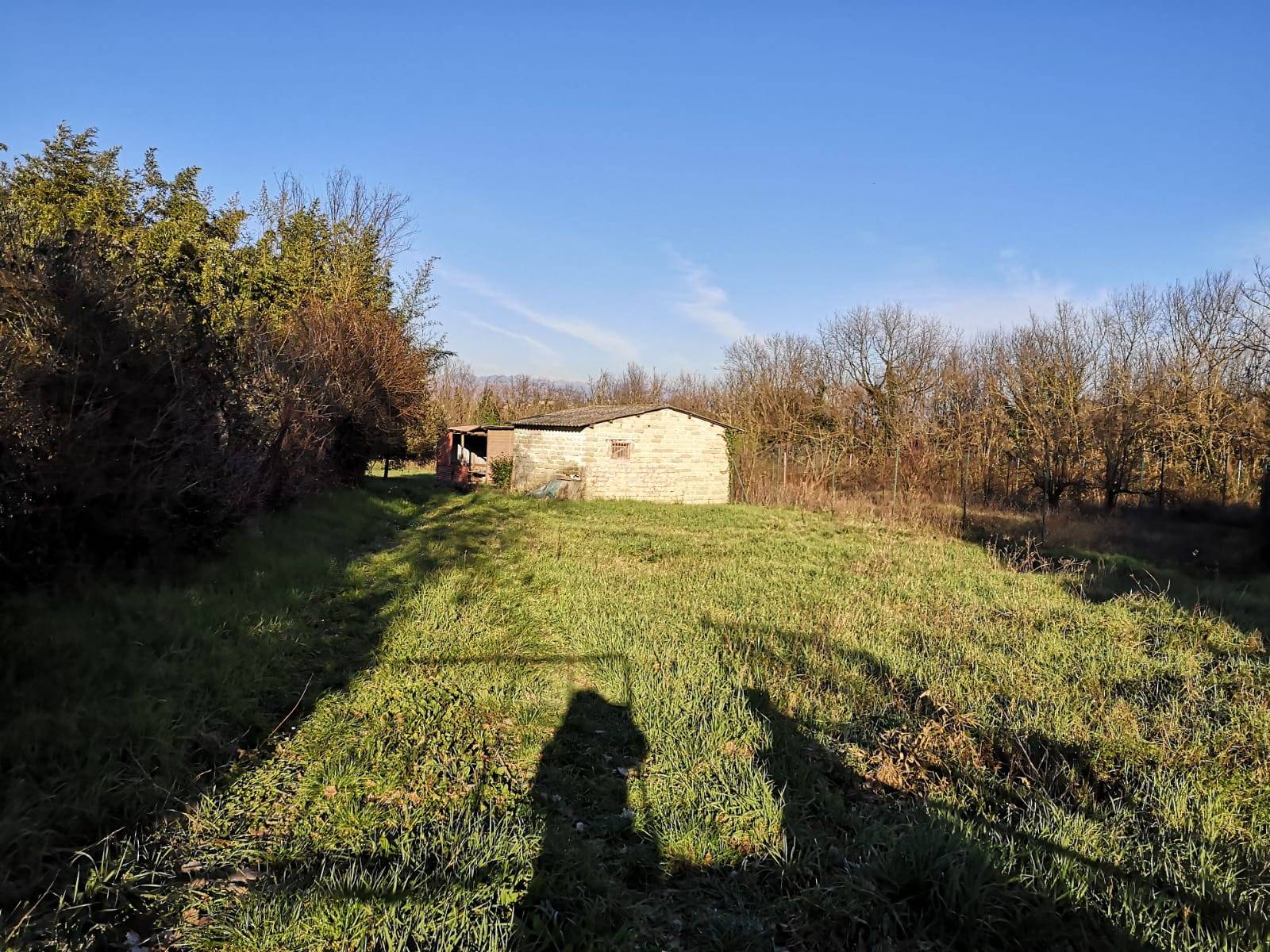 TERRENO CON FABBRICATI in vendita a Gavignano