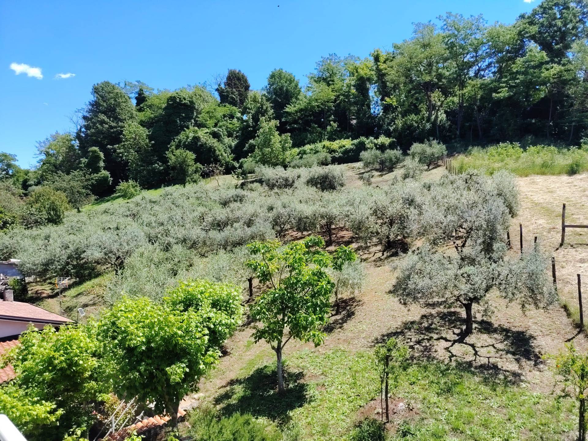 APPARTAMENTO 1 in vendita a Colleferro, VIA LATINA