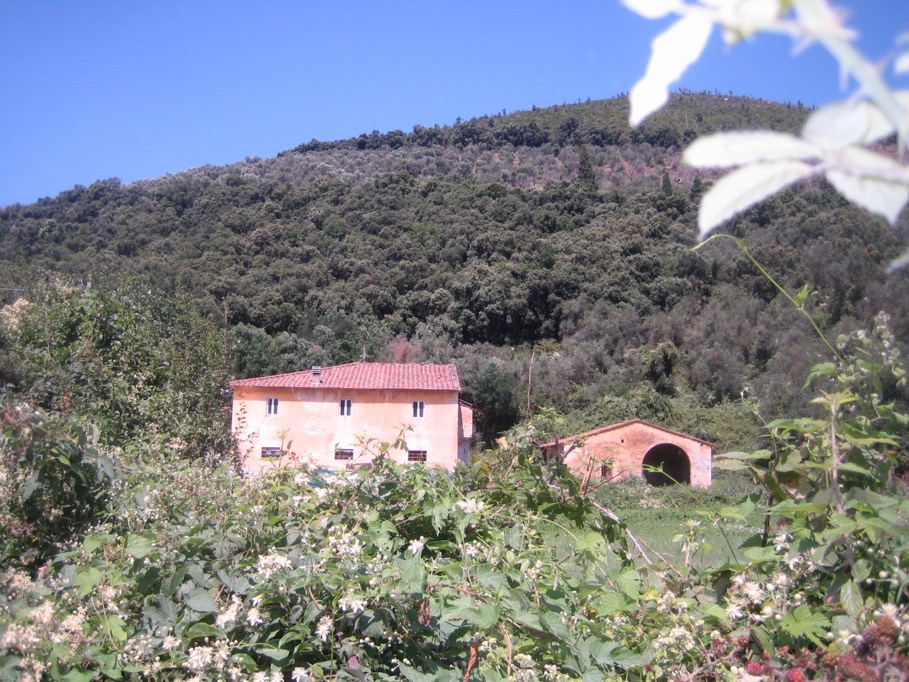 Casa indipendente da ristrutturare a San Giuliano Terme