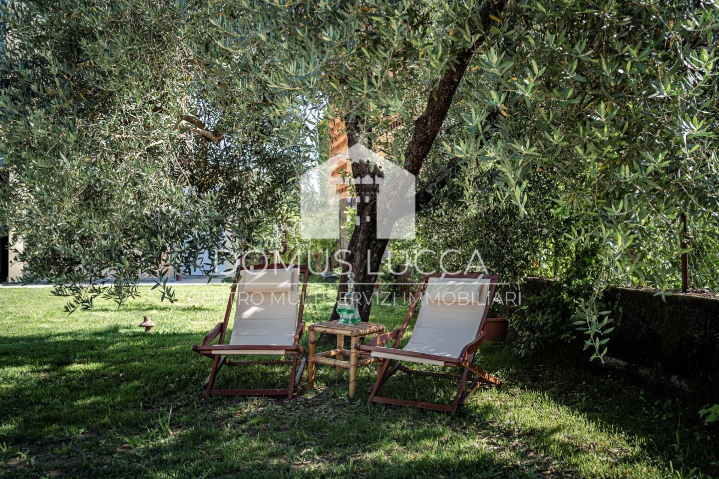 immagine annuncio 4 di 6