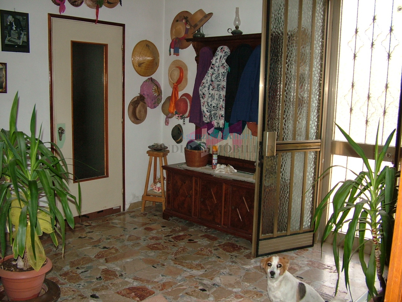 Casa singola in vendita a Nogara, Caselle