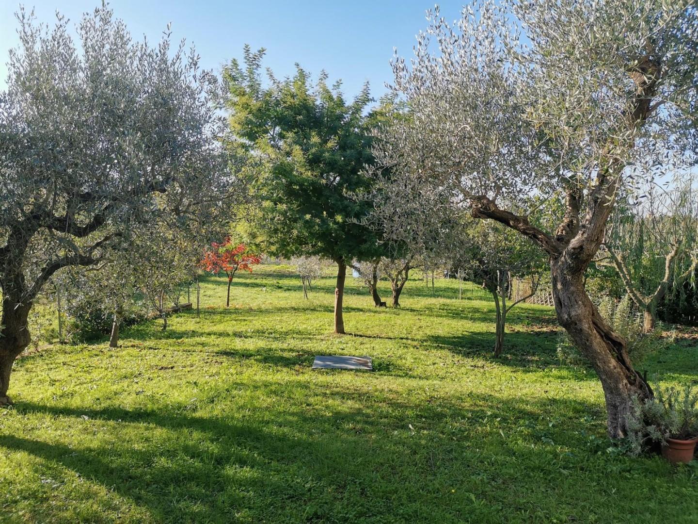 Quadrilocale arredato in affitto a Calci