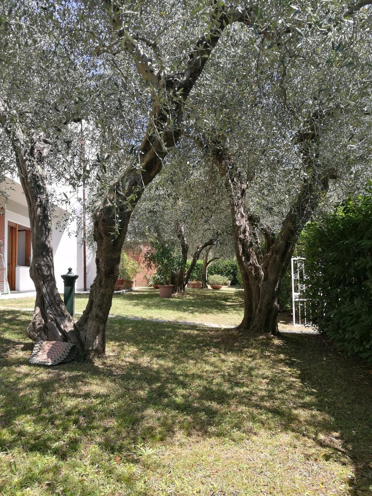 Quadrilocale arredato in affitto a Calci