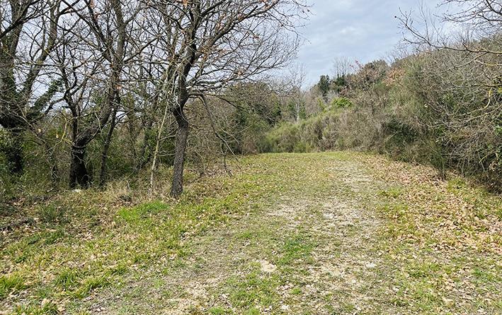 Terreno Agricolo in vendita in via dei griccioni, Monterotondo Marittimo