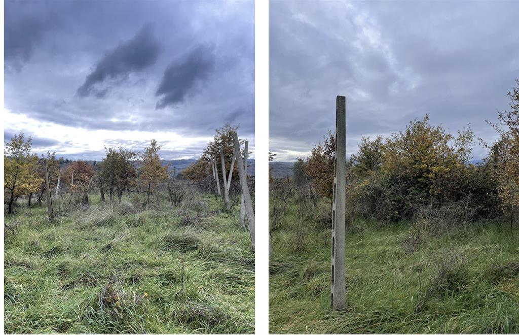 Terreno Agricolo in vendita in localit ravigliano, Citt della Pieve