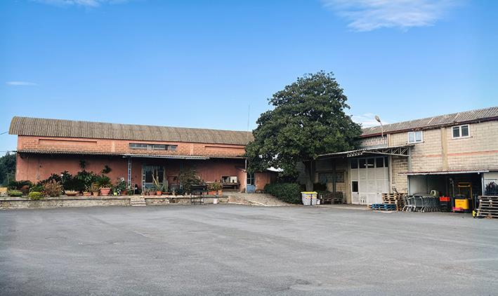 Capannone in vendita in strada statale la torba, Capalbio